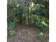 LOT 1 SANTACATTERINA ROAD, Mossman QLD 4873