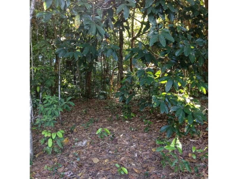 LOT 1 SANTACATTERINA ROAD, Mossman QLD 4873