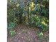 LOT 1 SANTACATTERINA ROAD, Mossman QLD 4873