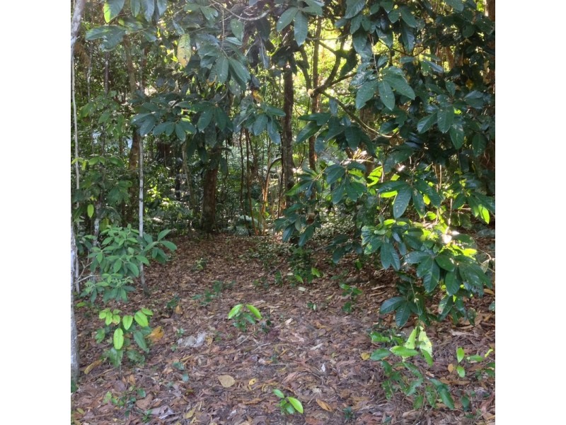 LOT 1 SANTACATTERINA ROAD, Mossman QLD 4873