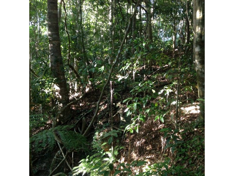 LOT 1 SANTACATTERINA ROAD, Mossman QLD 4873