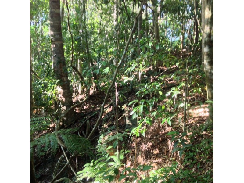 LOT 1 SANTACATTERINA ROAD, Mossman QLD 4873