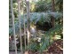 LOT 1 SANTACATTERINA ROAD, Mossman QLD 4873