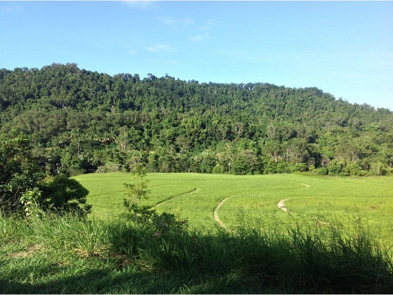 LOT 1 SANTACATTERINA ROAD, Mossman QLD 4873