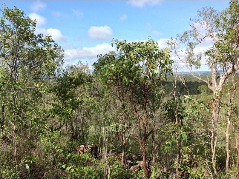 219 Godfrey Road, Mareeba QLD 4880