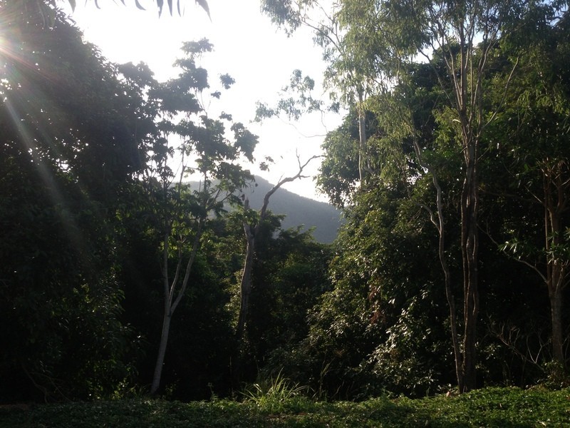 5-7  Tranquil Place, Smithfield QLD 4878