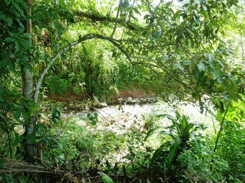 40  Karwin St, Bayview Heights QLD 4868