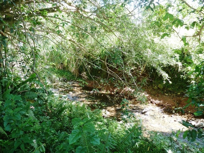 40  Karwin St, Bayview Heights QLD 4868