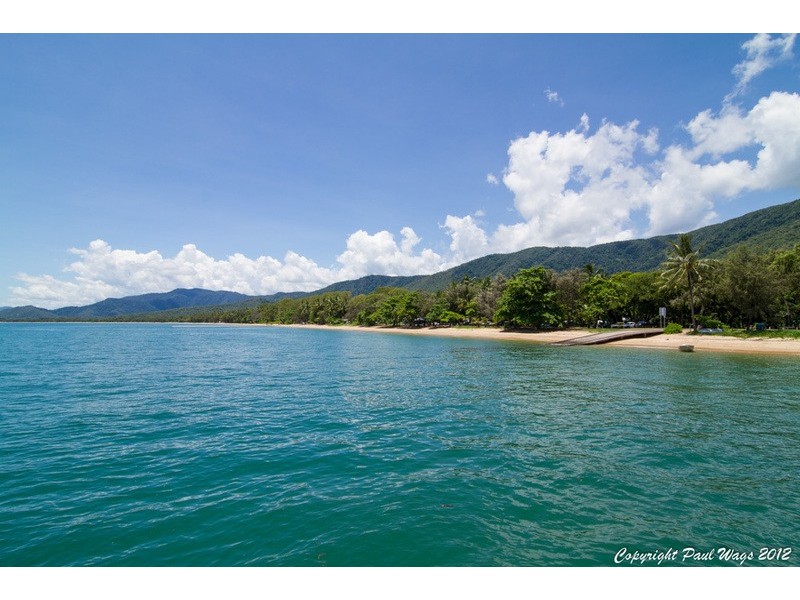 31 MULLER St, Palm Cove QLD 4879