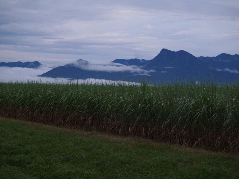 39 Coulthard St, Newell QLD 4873