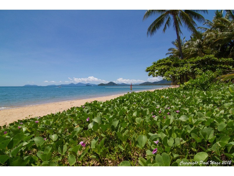6 Lillian Road, Palm Cove QLD 4879