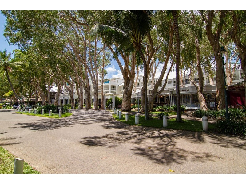 6 Lillian Road, Palm Cove QLD 4879