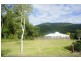 15  Aurelia Road, Palm Cove QLD 4879