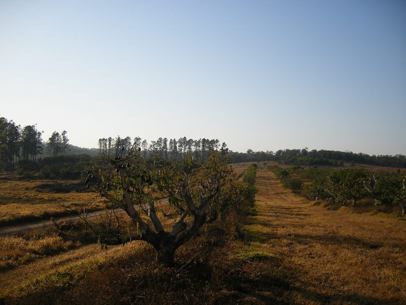 140 Kulara Road, Barrine QLD 4872