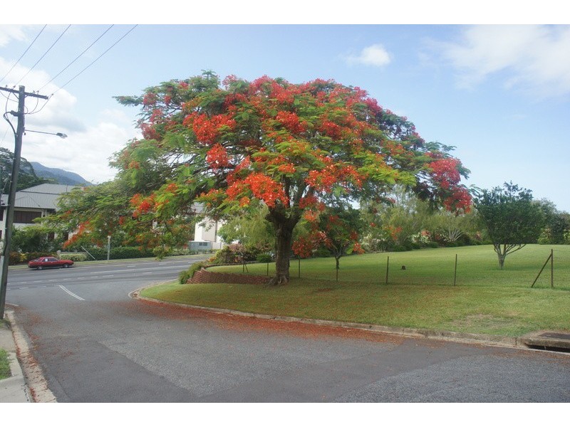 212/11-15  Charlekata Close, Freshwater QLD 4870