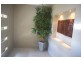 7 Retreat Close, Palm Cove QLD 4879