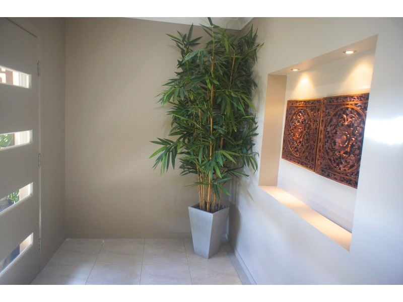 7 Retreat Close, Palm Cove QLD 4879