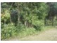 15 Aurelia Rd, Palm Cove QLD 4879