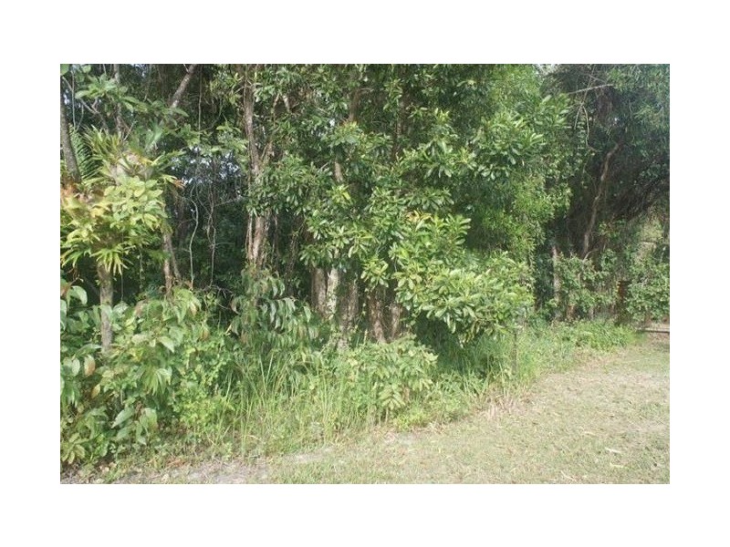 15 Aurelia Rd, Palm Cove QLD 4879