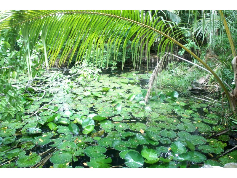 47-49 Old Bruce Highway, Bentley Park QLD 4869
