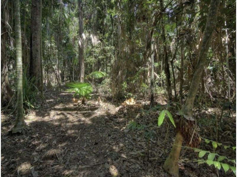 1361 Mossman- Daintree Rd, Rocky Point QLD 4873