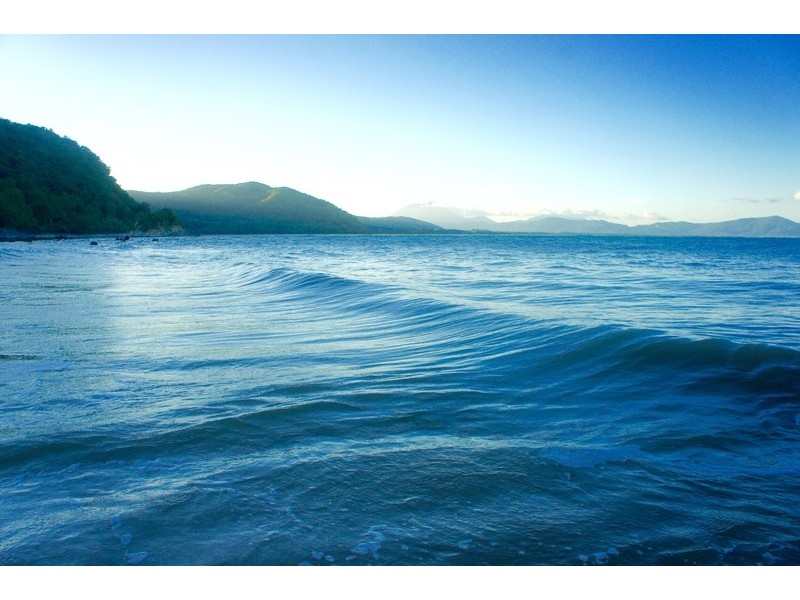 1361 Mossman- Daintree Rd, Rocky Point QLD 4873