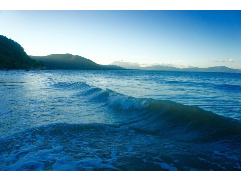 1361 Mossman- Daintree Rd, Rocky Point QLD 4873