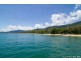 20 Muller Street, Palm Cove QLD 4879