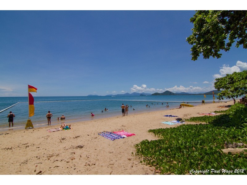 20 Muller Street, Palm Cove QLD 4879