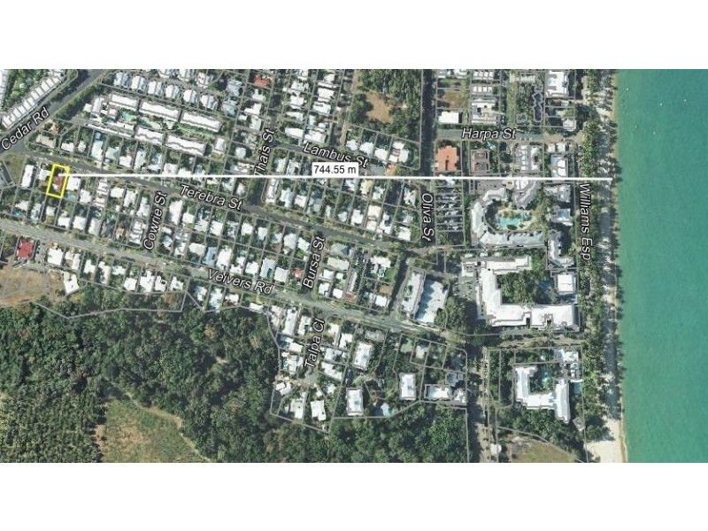 65 Terebra Street, Palm Cove QLD 4879