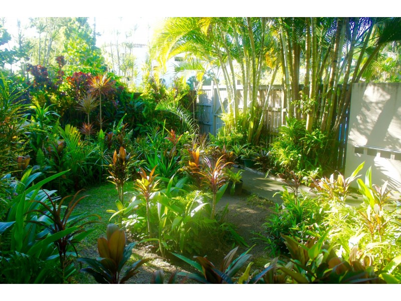 89 Digger St, Cairns North QLD 4870