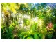 89 Digger St, Cairns North QLD 4870
