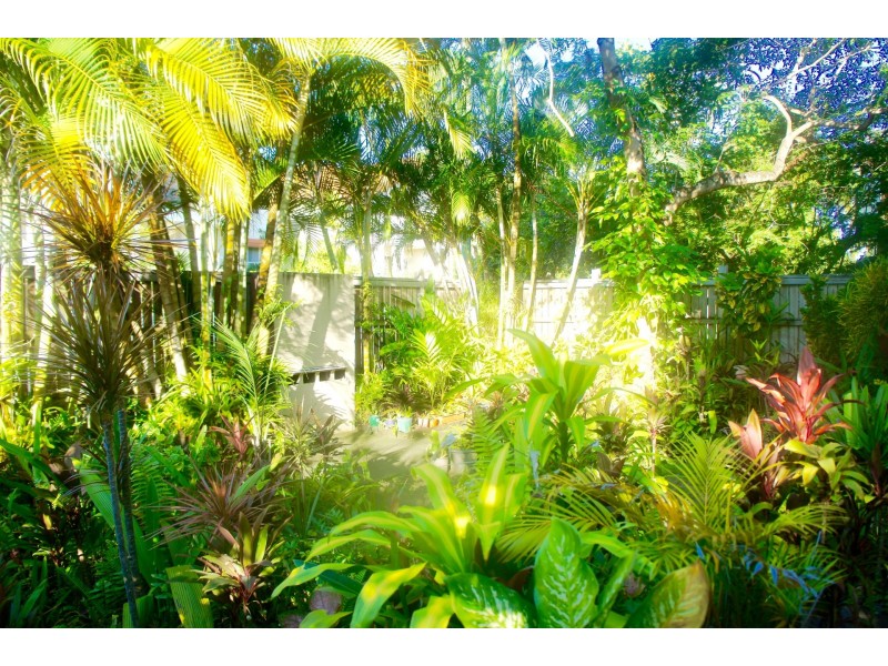 89 Digger St, Cairns North QLD 4870