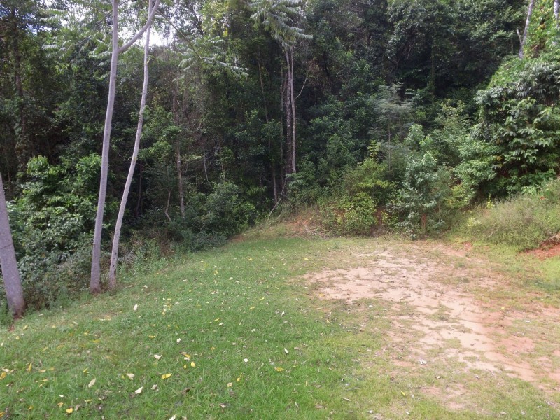 67 Leonard st, Kewarra Beach QLD 4879