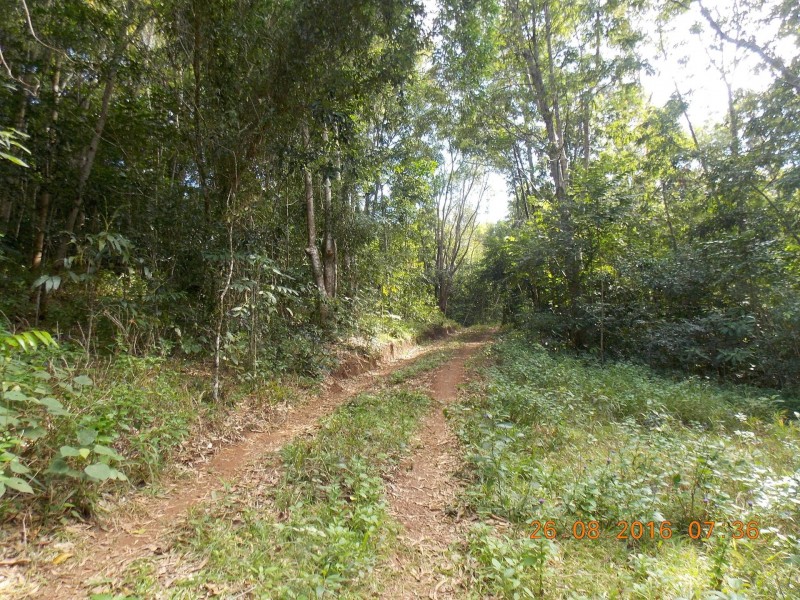 LOT 2 Collingwood Road, Cooktown QLD 4895