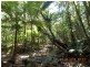 LOT 2 Collingwood Road, Cooktown QLD 4895