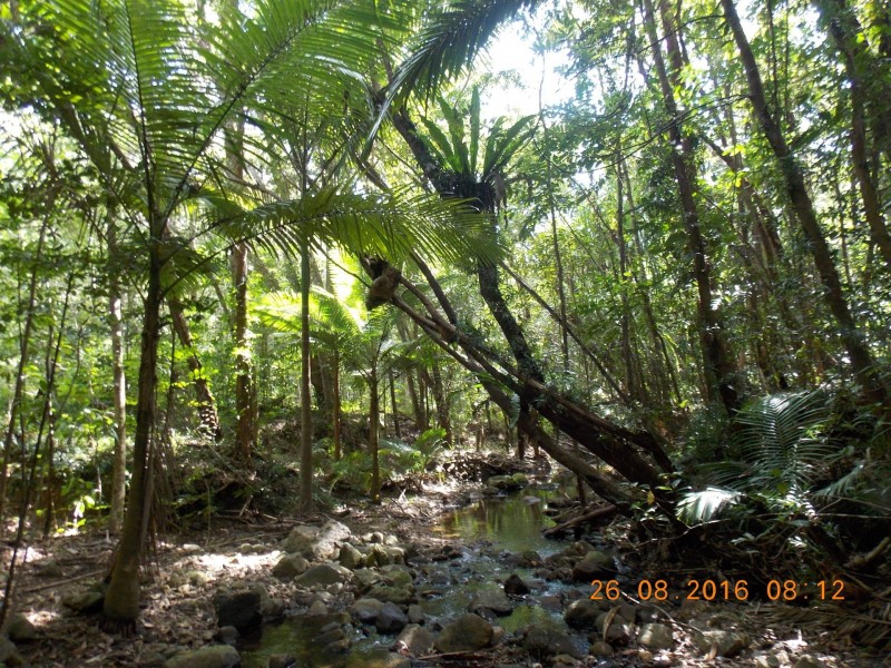 LOT 2 Collingwood Road, Cooktown QLD 4895