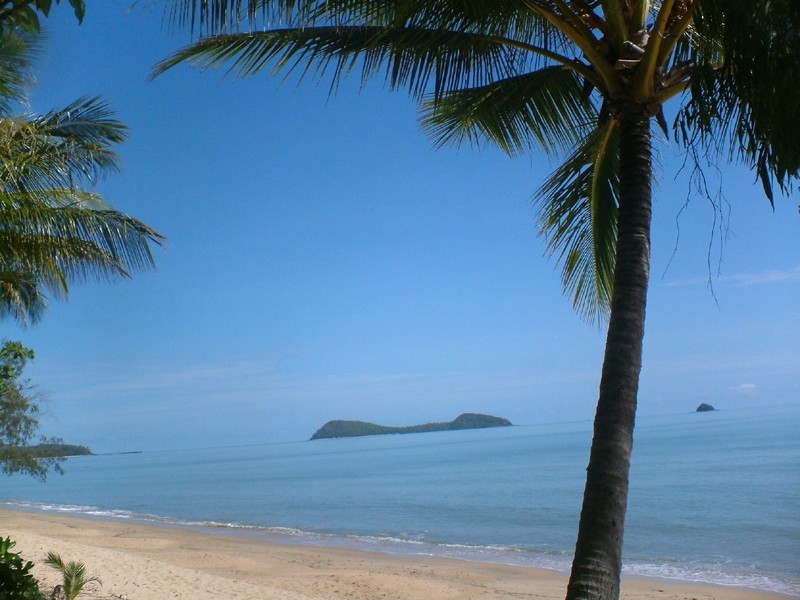 21 Palmetto Street, Palm Cove QLD 4879