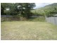 37 Muller St, Palm Cove QLD 4879