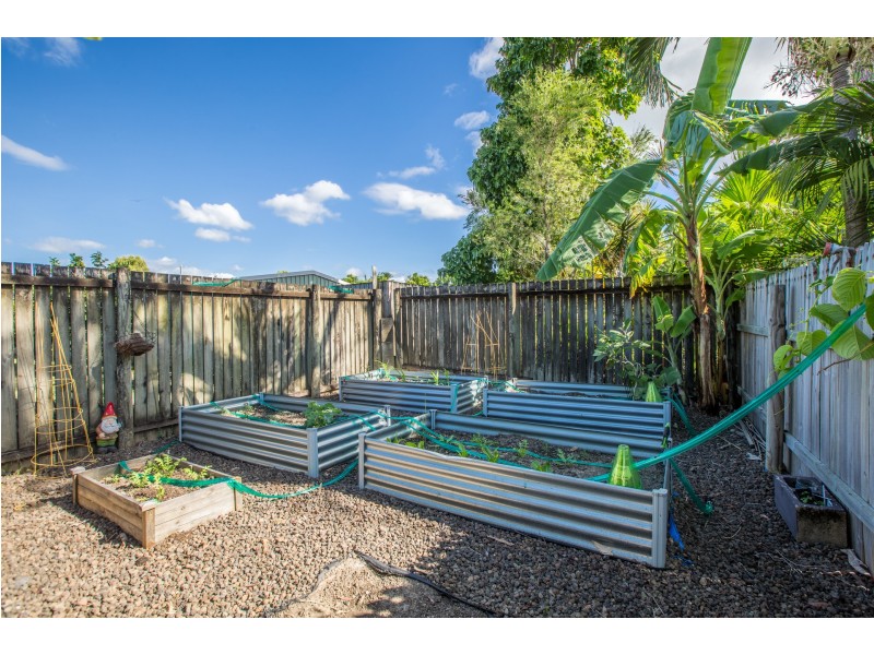 8 Sussex Street, Trinity Park QLD 4879