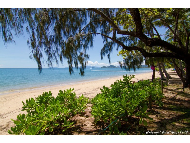 Lot 4 Triton Street, Palm Cove QLD 4879