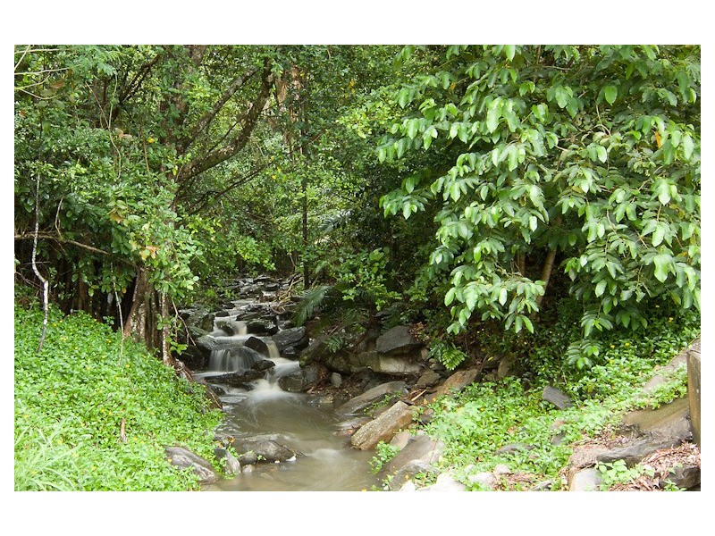 8 Seclusion Drive Palm Cove, Palm Cove QLD 4879