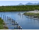 17 Apollo QY, Trinity Park QLD 4879