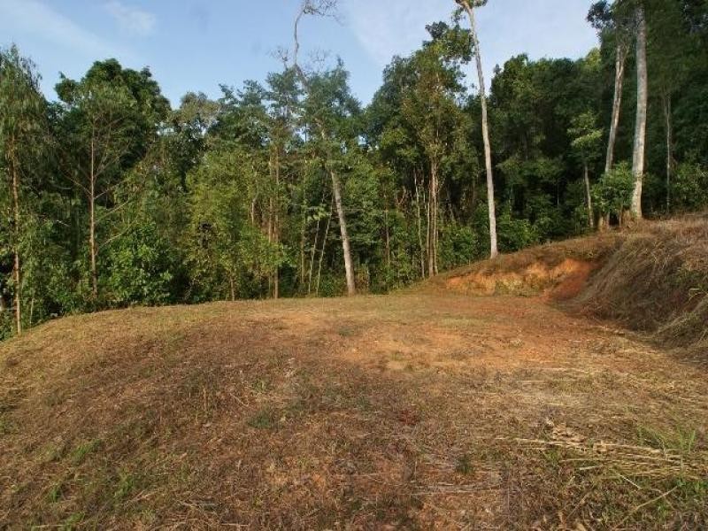 67 Leonards Access, Kewarra Beach QLD 4879