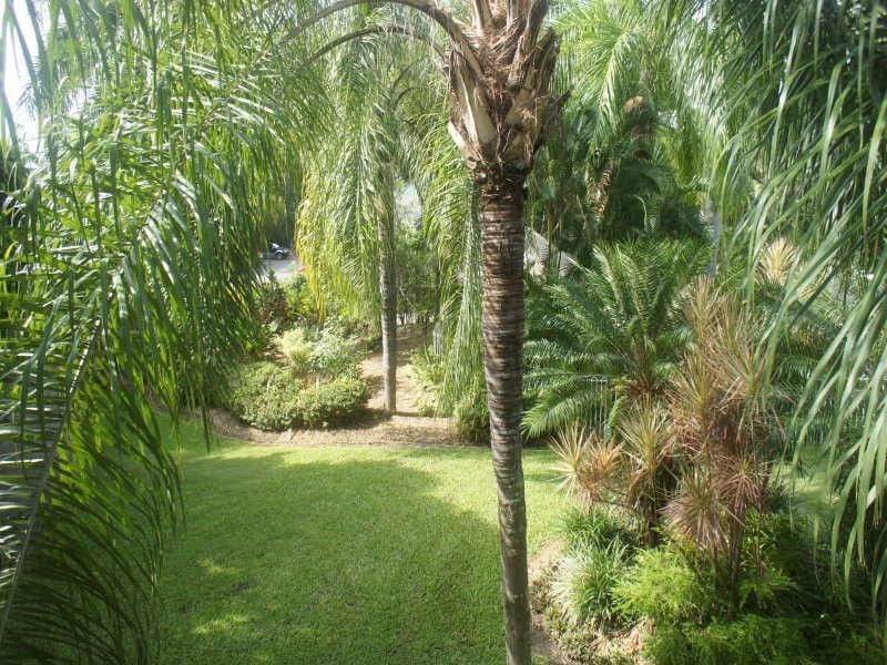 314/915 Coral Coast Drive, Palm Cove QLD 4879