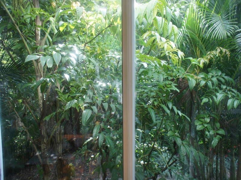 314/915 Coral Coast Drive, Palm Cove QLD 4879