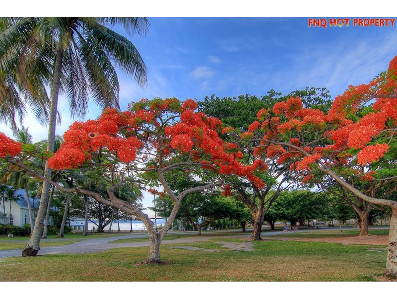 115/121-137  Port Douglas Road, Port Douglas QLD 4877