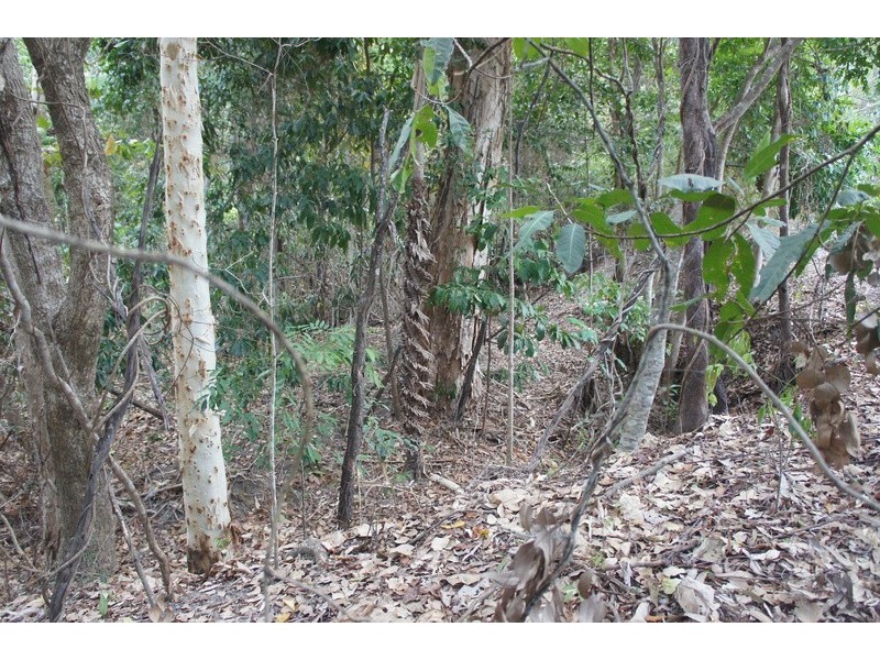 27  Aurelia Road, Palm Cove QLD 4879