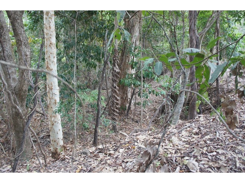 27  Aurelia Road, Palm Cove QLD 4879