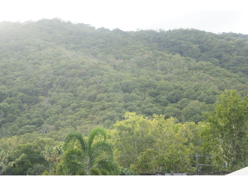 27  Aurelia Road, Palm Cove QLD 4879